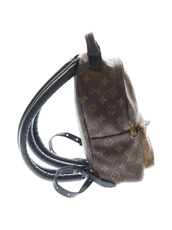 Louis Vuitton Monogram Reverse Palm Springs PM Backpack